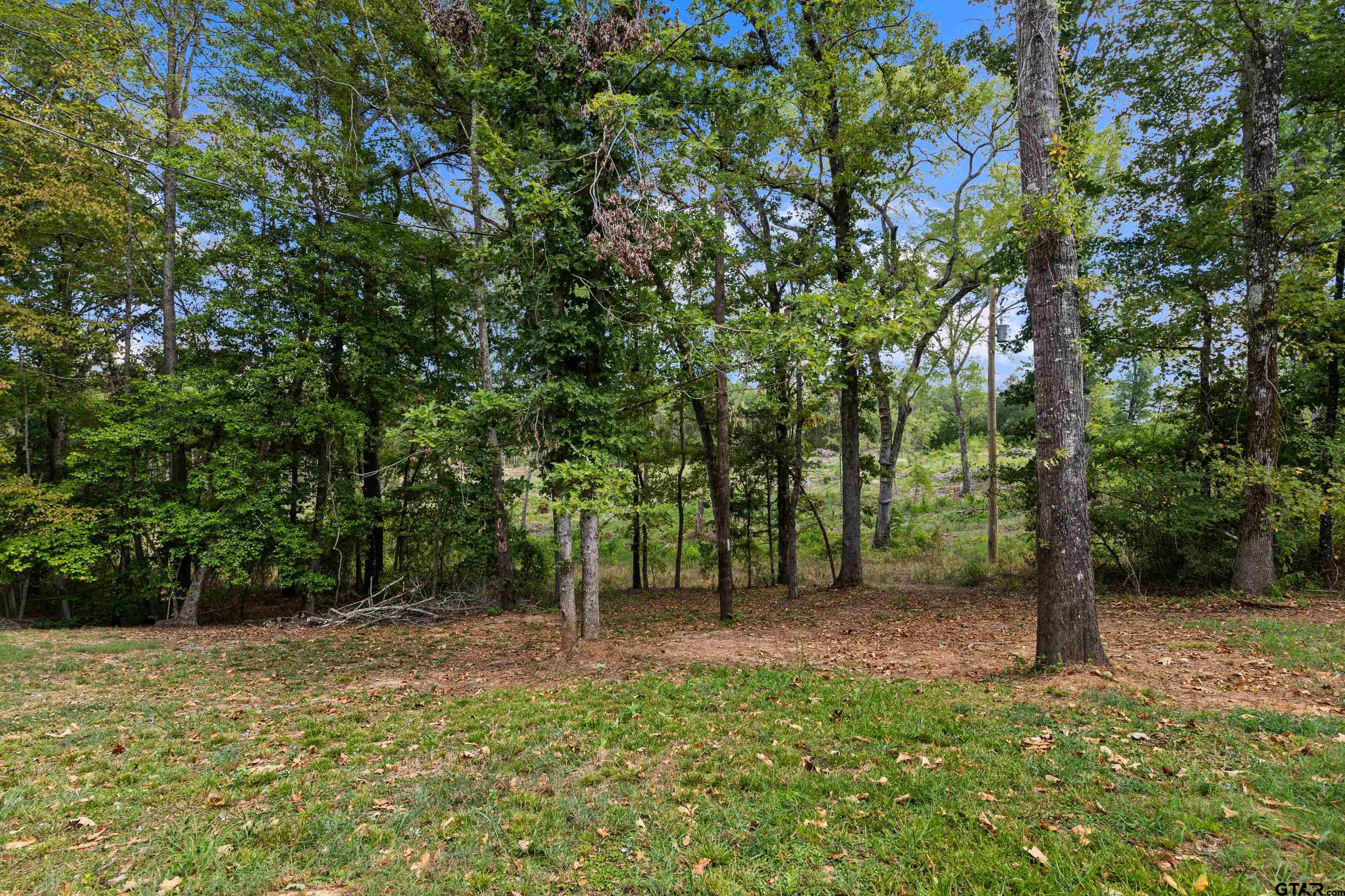 7044 Wild Daisy Road Ore City, TX 75683 - Photo 43 of 43 Gallery Image 43