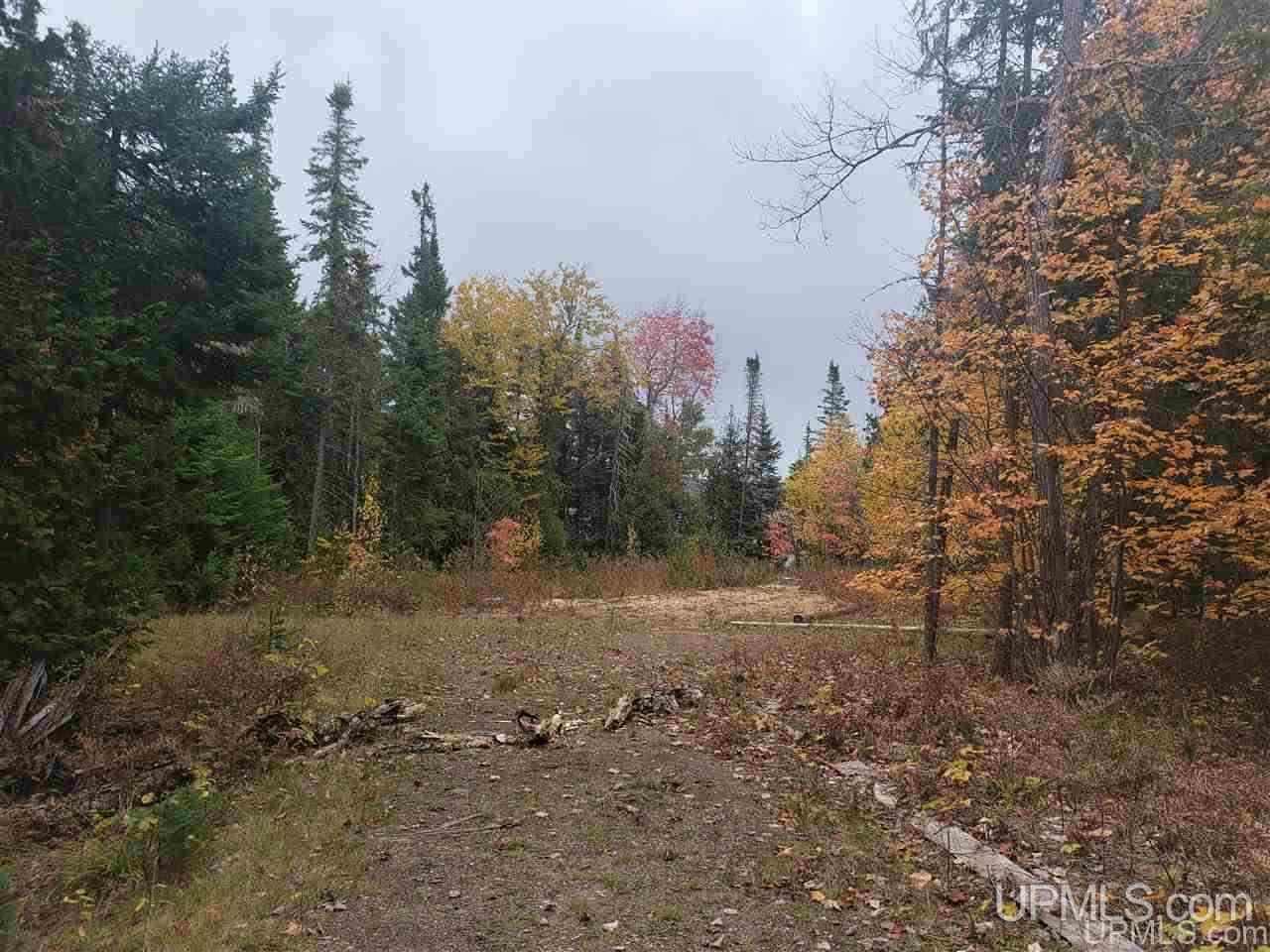 Tbd Gay Lac La Belle Road Lake Linden, MI 49950 - Photo 7 of 9