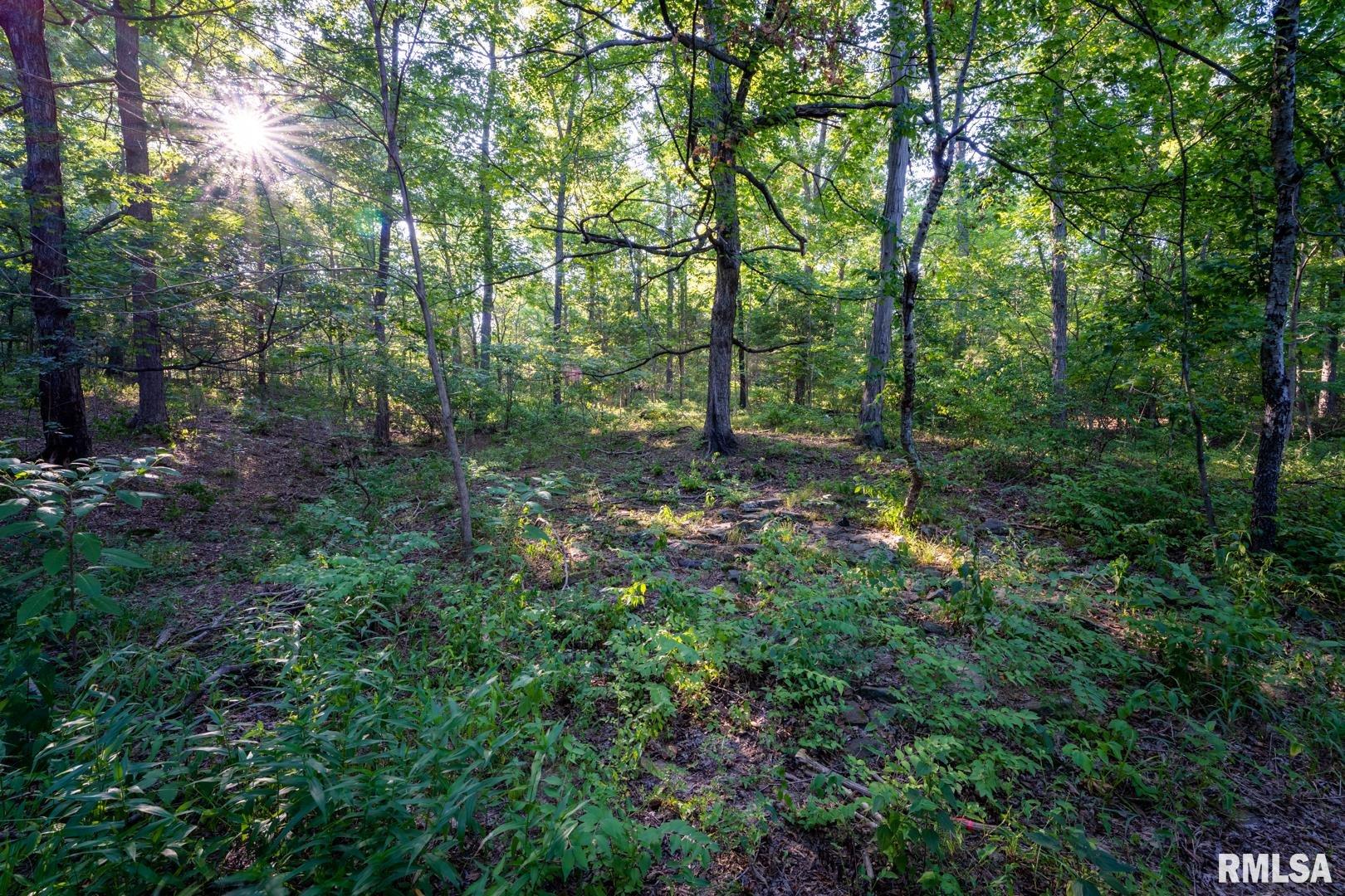 1545 Sullivan Road Goreville, IL 62939 - Photo 12 of 24 Gallery Image 12