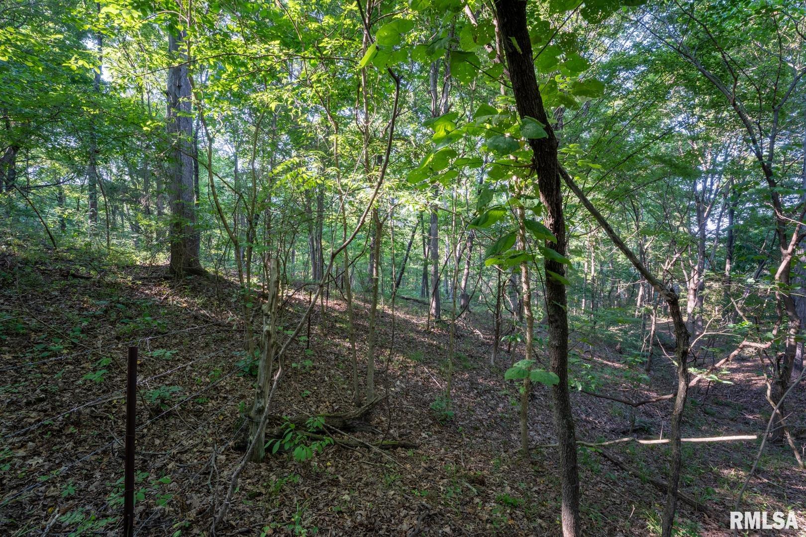 1545 Sullivan Road Goreville, IL 62939 - Photo 20 of 24 Gallery Image 20