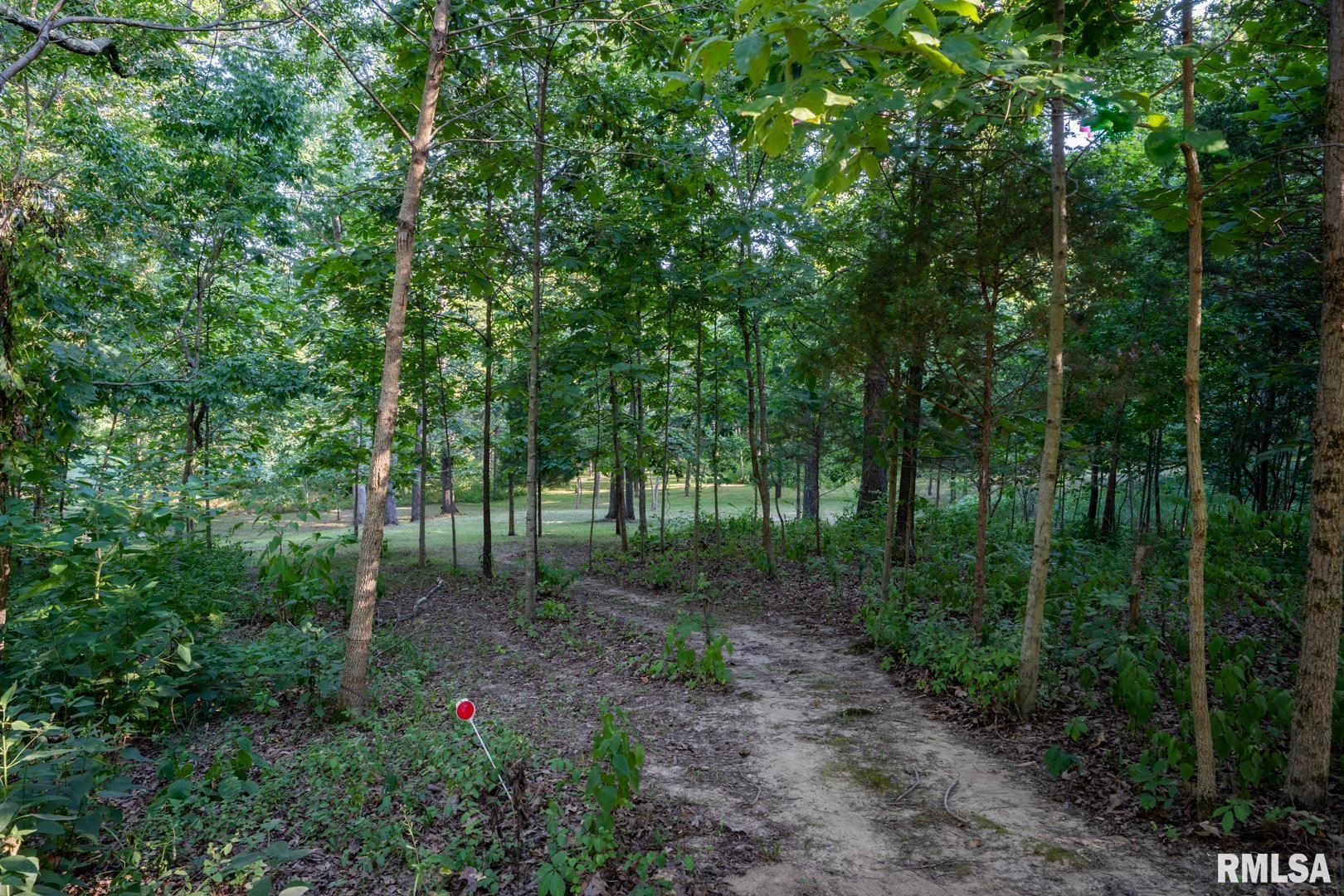 1545 Sullivan Road Goreville, IL 62939 - Photo 2 of 24 Gallery Image 2