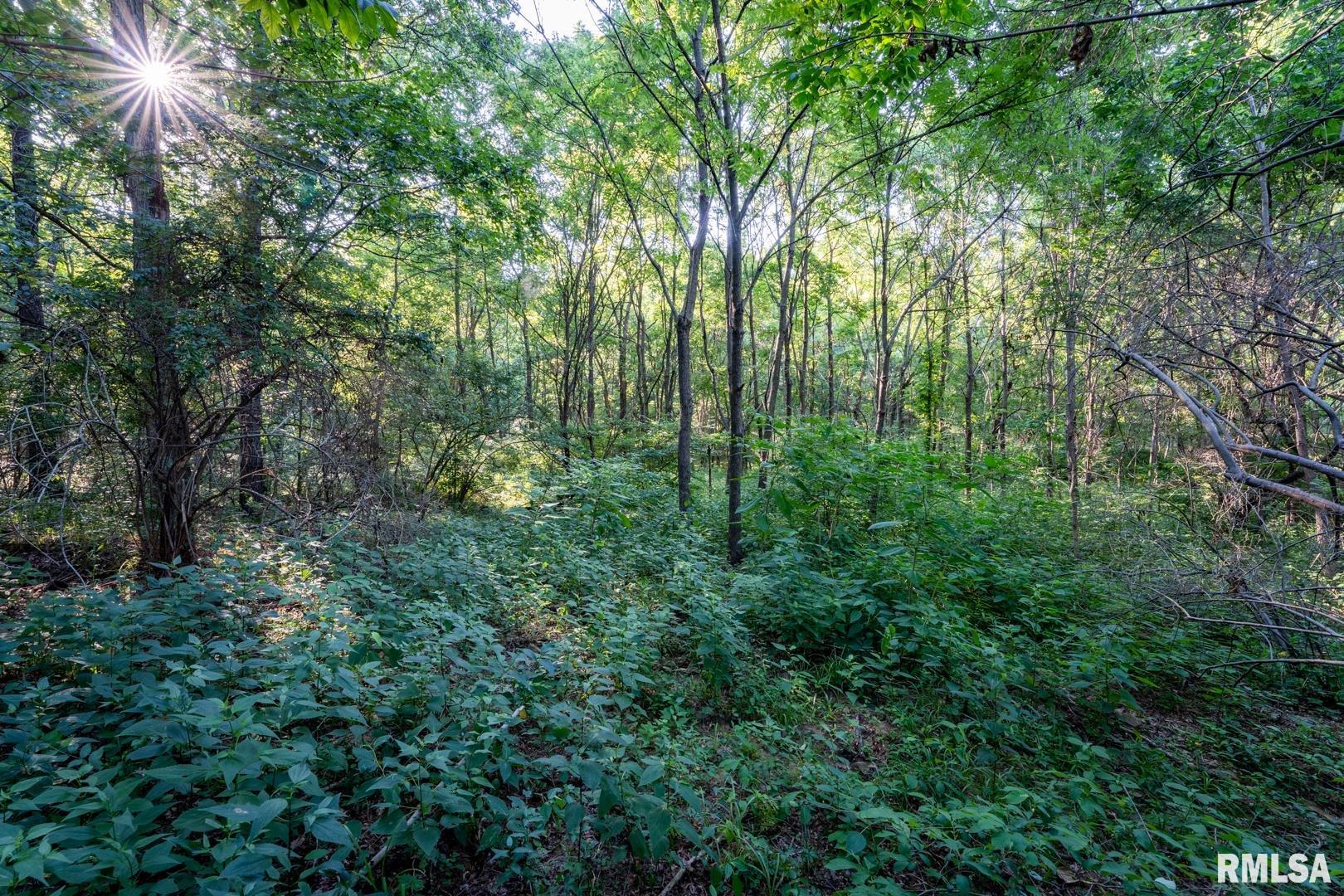 1545 Sullivan Road Goreville, IL 62939 - Photo 23 of 24 Gallery Image 23