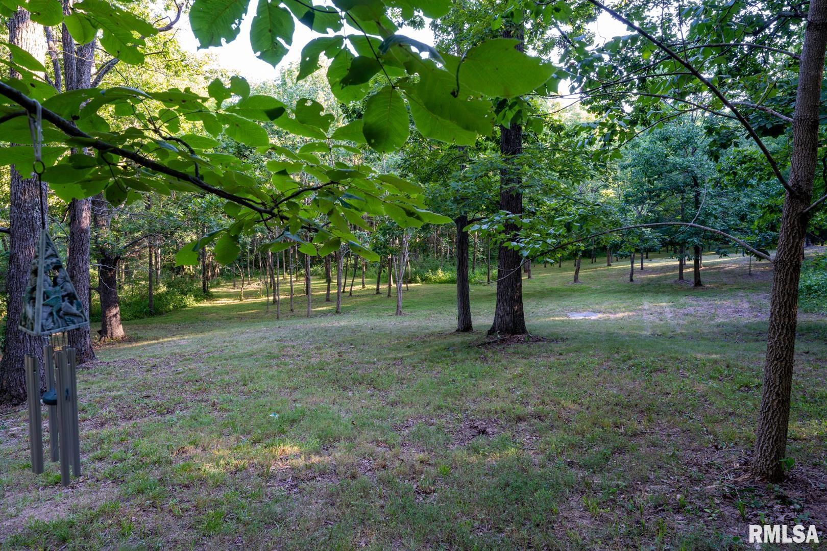 1545 Sullivan Road Goreville, IL 62939 - Photo 3 of 24 Gallery Image 3