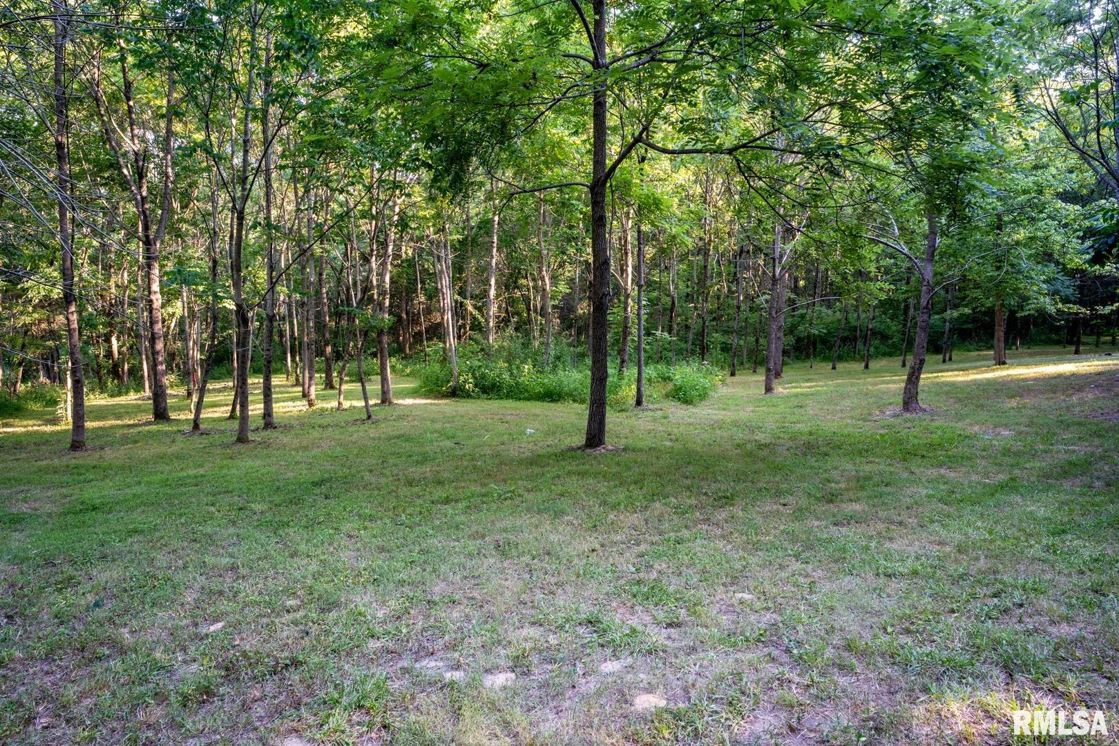 1545 Sullivan Road Goreville, IL 62939 - Photo 4 of 24 Gallery Image 4