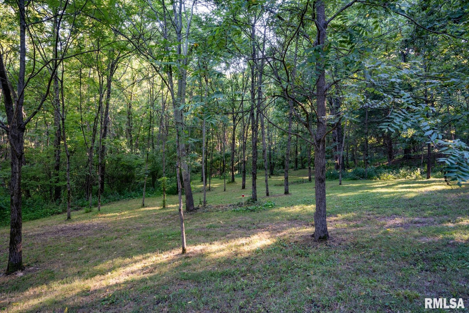 1545 Sullivan Road Goreville, IL 62939 - Photo 6 of 24 Gallery Image 6