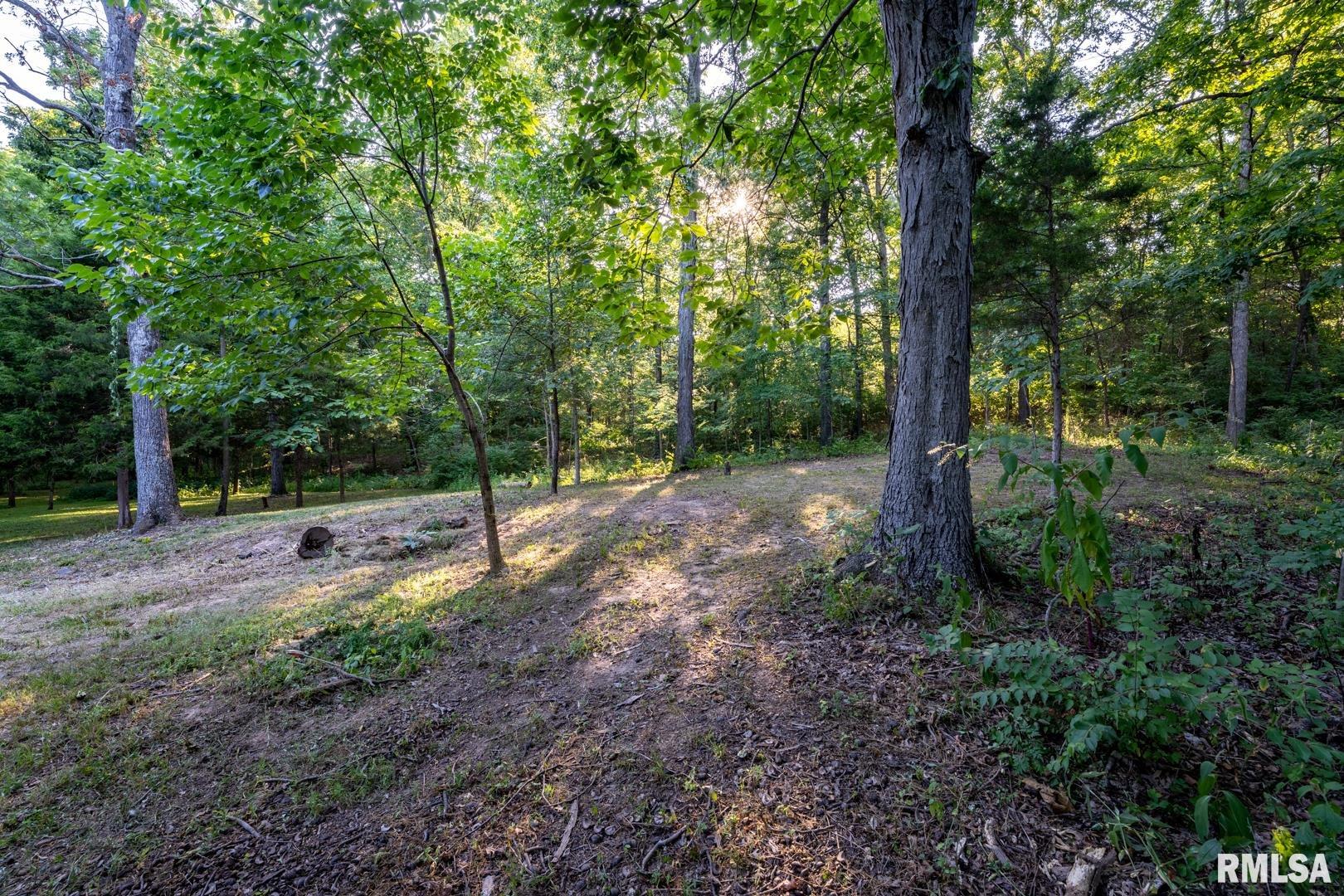 1545 Sullivan Road Goreville, IL 62939 - Photo 7 of 24 Gallery Image 7
