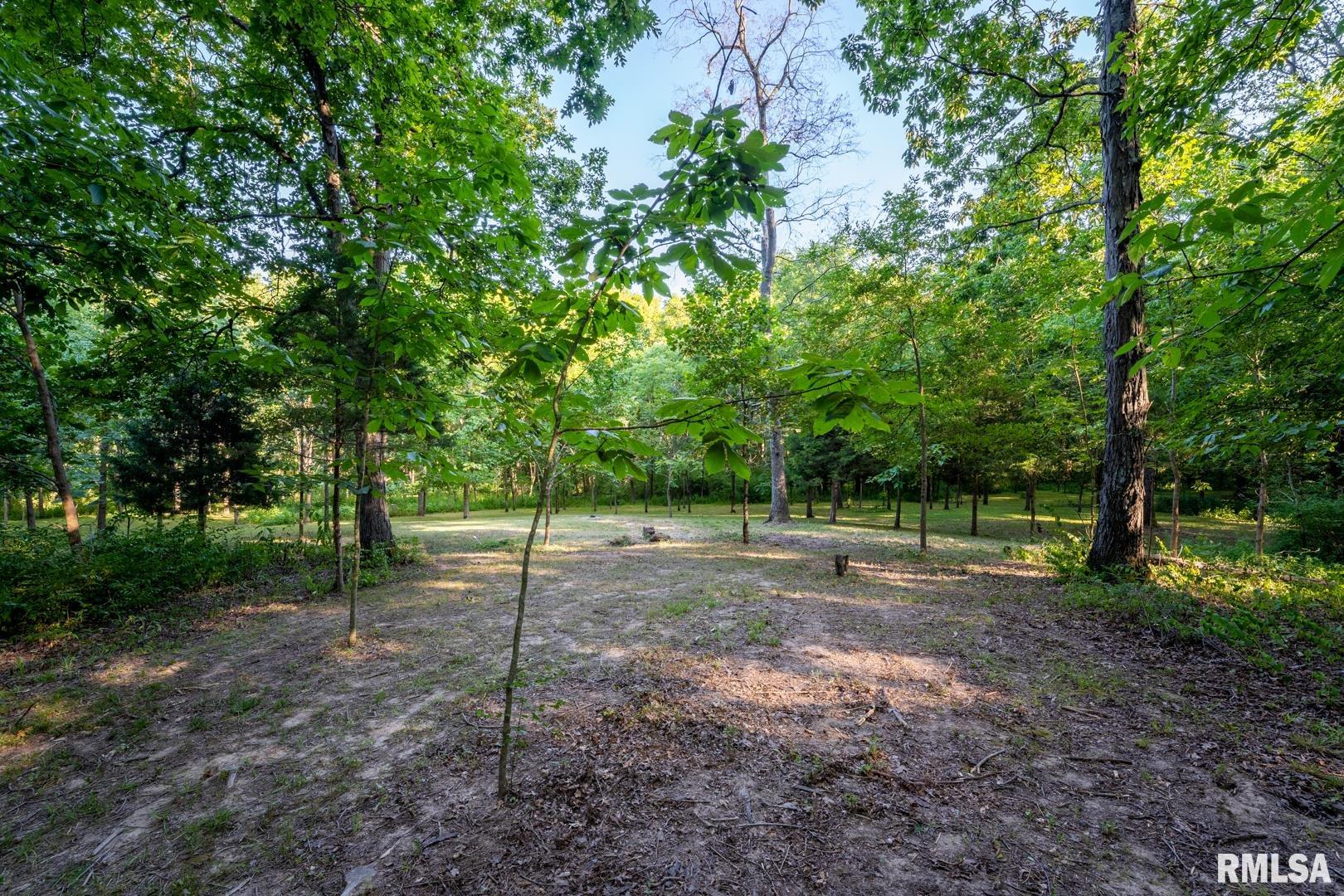 1545 Sullivan Road Goreville, IL 62939 - Photo 8 of 24 Gallery Image 8