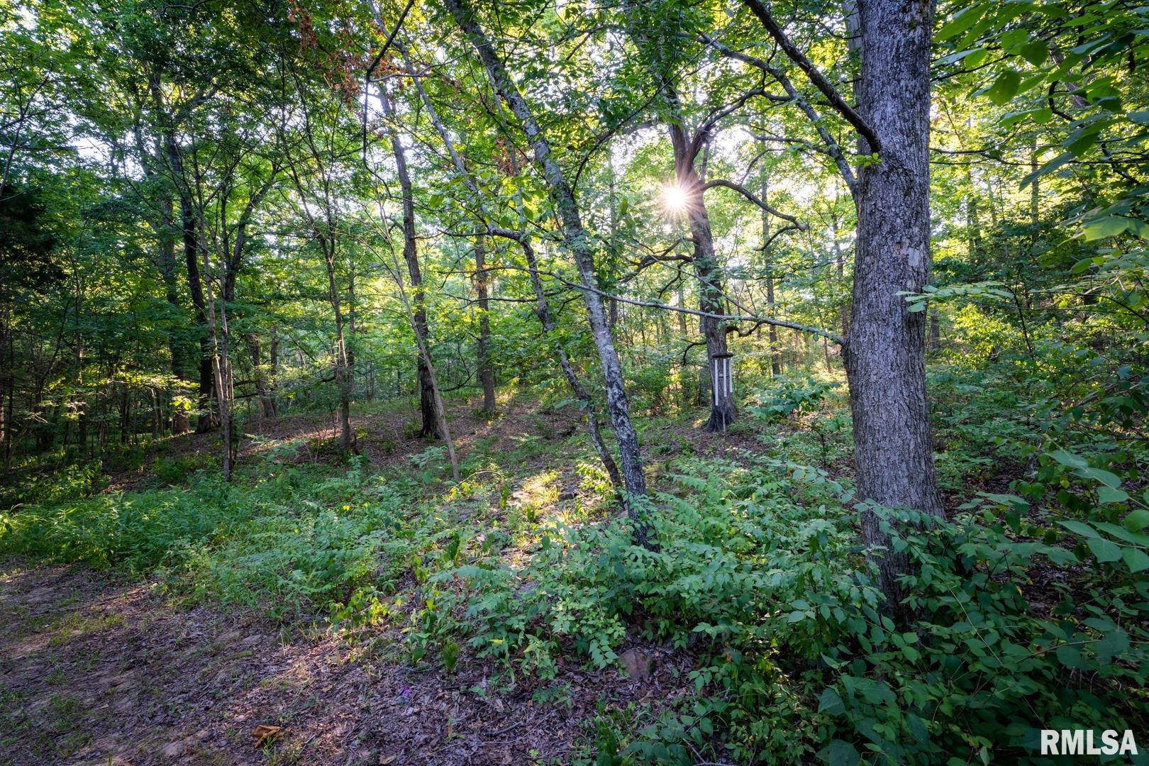 1545 Sullivan Road Goreville, IL 62939 - Photo 10 of 24 Gallery Image 10