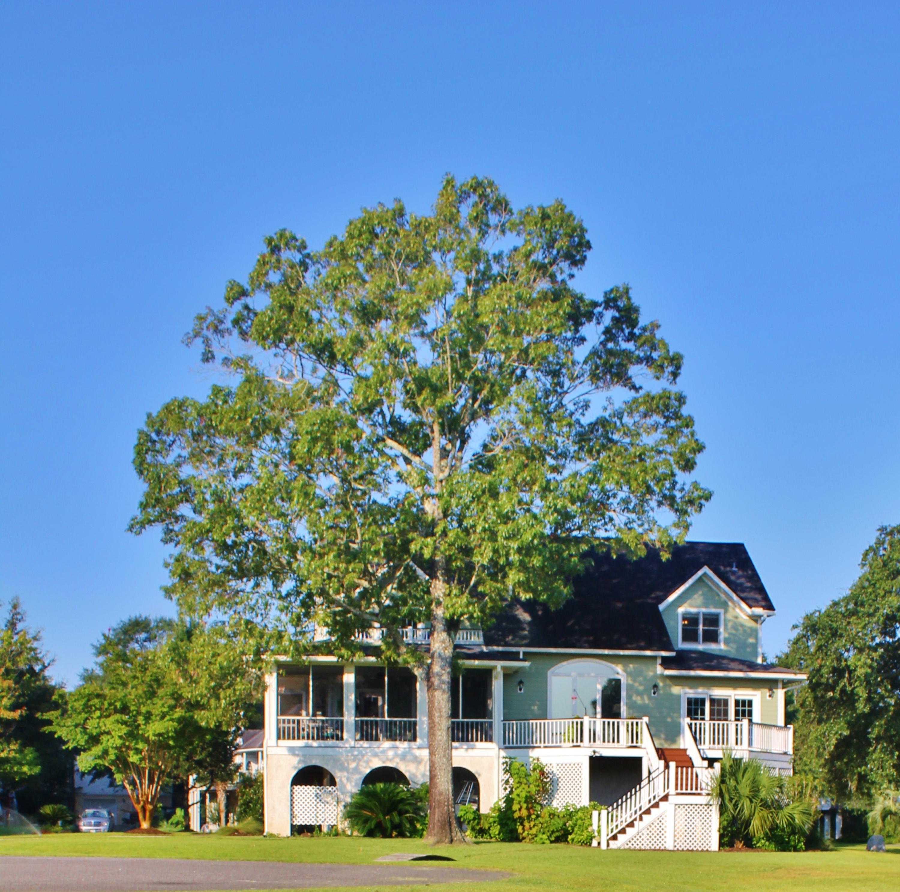 323 Jamesbury Road Wando, SC 29492 - Photo 12 of 50 IMG_2079