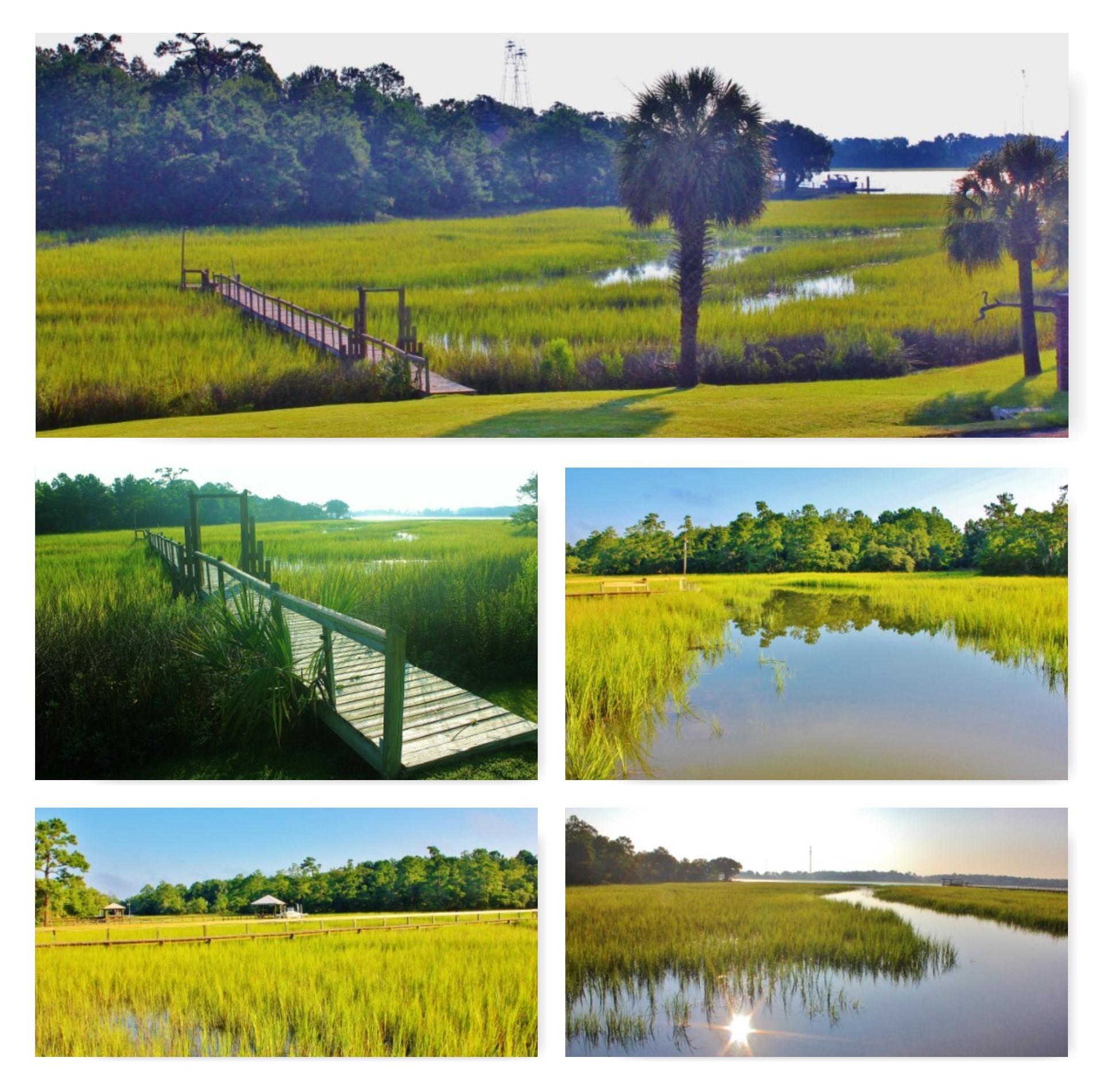 Marsh