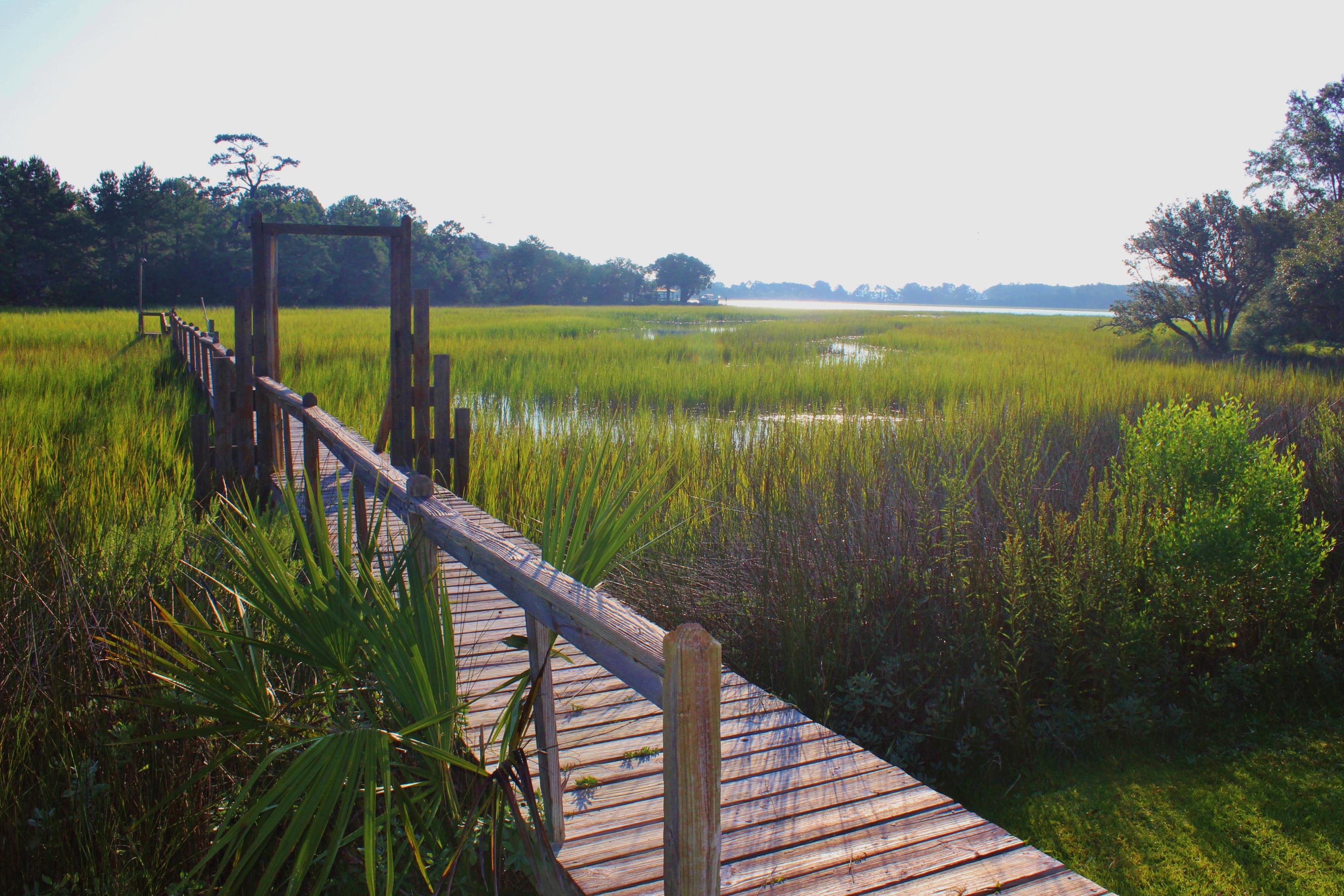323 Jamesbury Road Wando, SC 29492 - Photo 10 of 50 IMG_2076