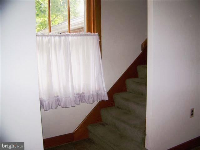332 High Street Hanover, PA 17331 - Photo 9 of 29 Gallery Image 9