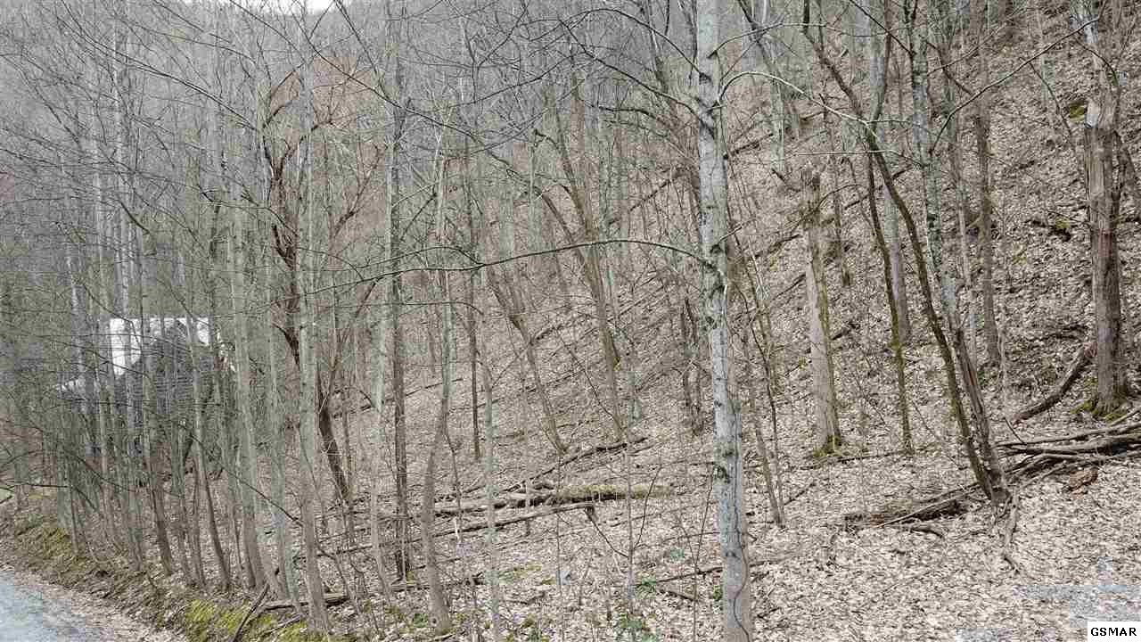 28 Wolf Way Sevierville, TN 37862 - Photo 7 of 7