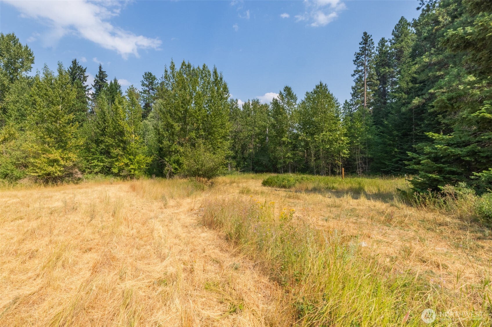 103 Horvatt Road Roslyn, WA 98941 - Photo 17 of 23 Gallery Image 17
