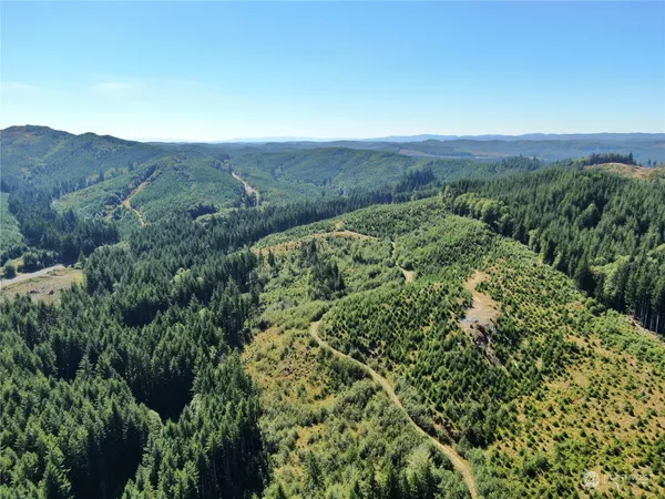 $427,000 | -off Of Lund Road, Cosmopolis, WA 98537