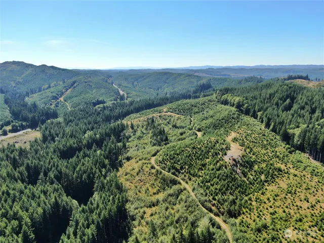 $427,000 | -off Of Lund Road, Cosmopolis, WA 98537