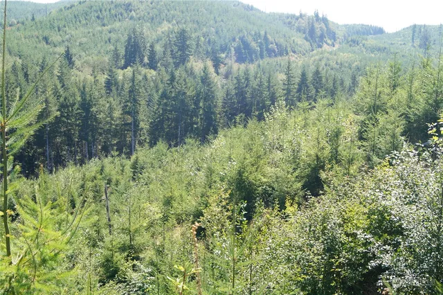 $427,000 | -off Of Lund Road, Cosmopolis, WA 98537