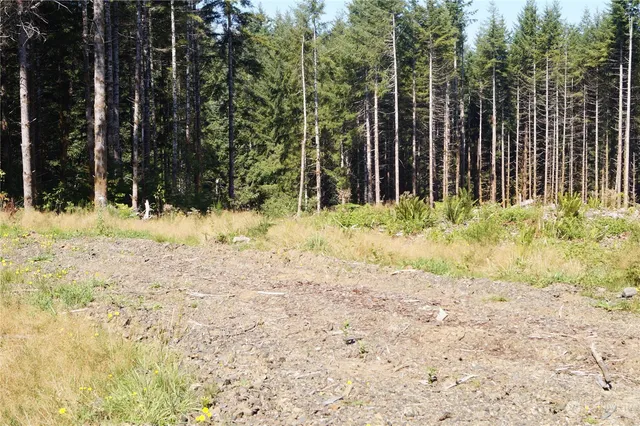 $427,000 | -off Of Lund Road, Cosmopolis, WA 98537