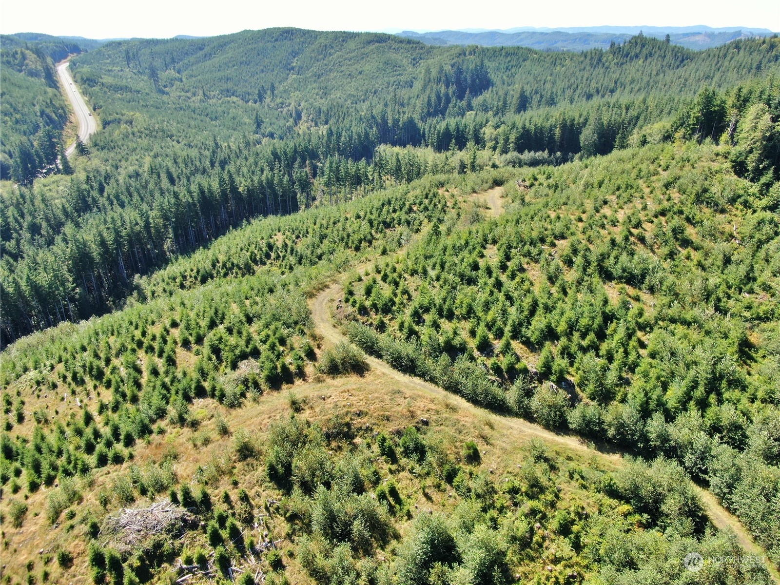 -off Of Lund Road Cosmopolis, WA 98537 - Photo 3 of 16