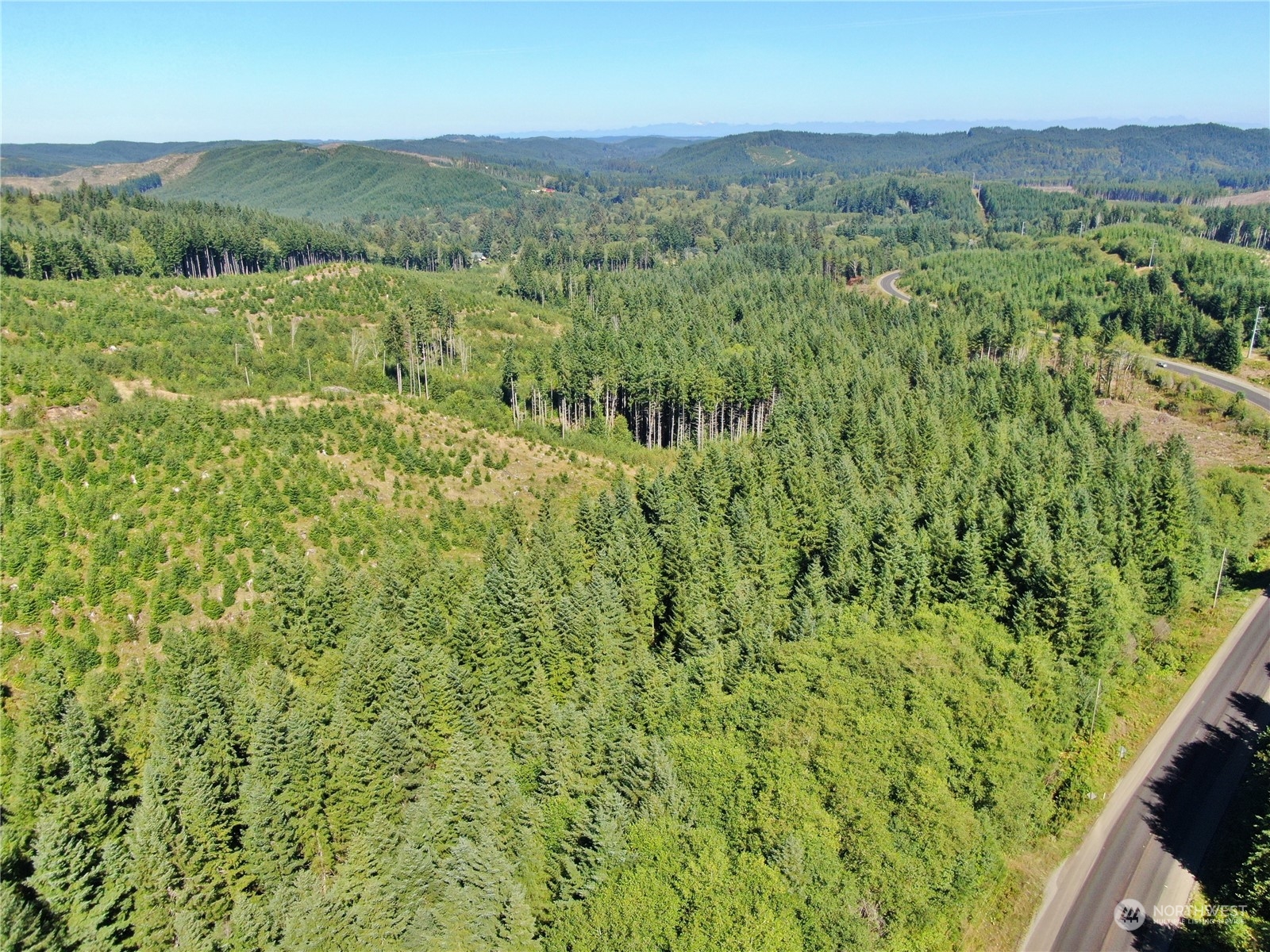-off Of Lund Road Cosmopolis, WA 98537 - Photo 4 of 16