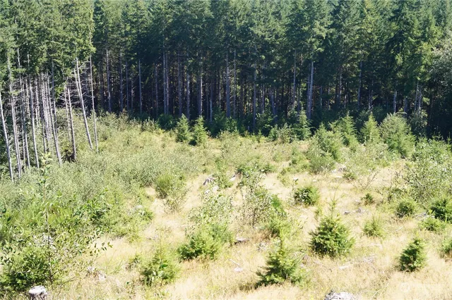 $427,000 | -off Of Lund Road, Cosmopolis, WA 98537