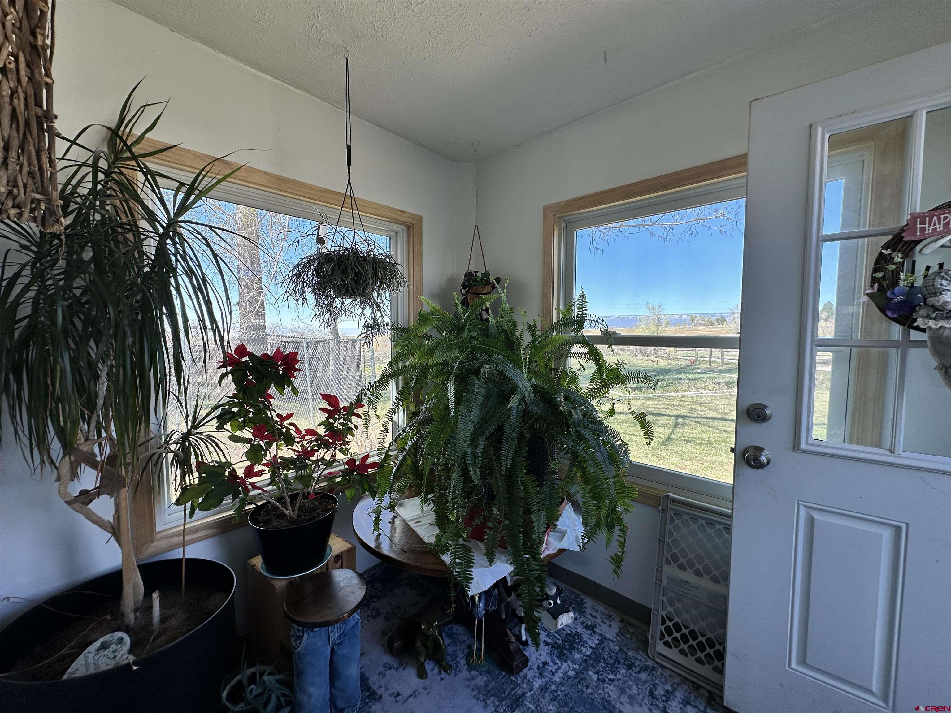12880 2900th Road Hotchkiss, CO 81419 - Photo 5 of 22 a potted plant sitting in front of a house