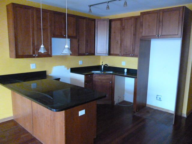 3751 South Michigan Avenue, Unit 1 Chicago, IL 60653 - Photo 3 of 8