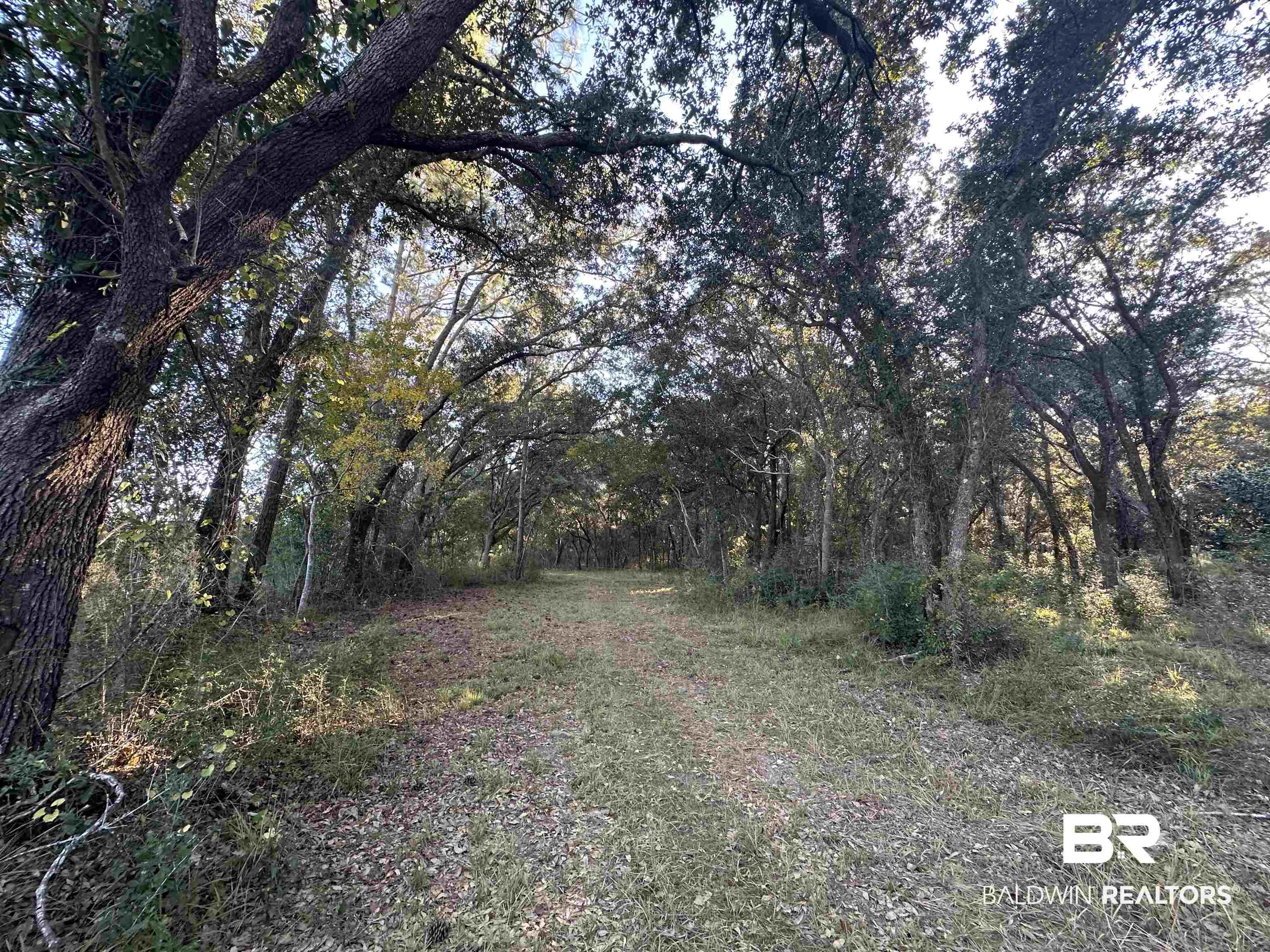 0 Benton Road Foley, AL 36535 - Photo 3 of 7