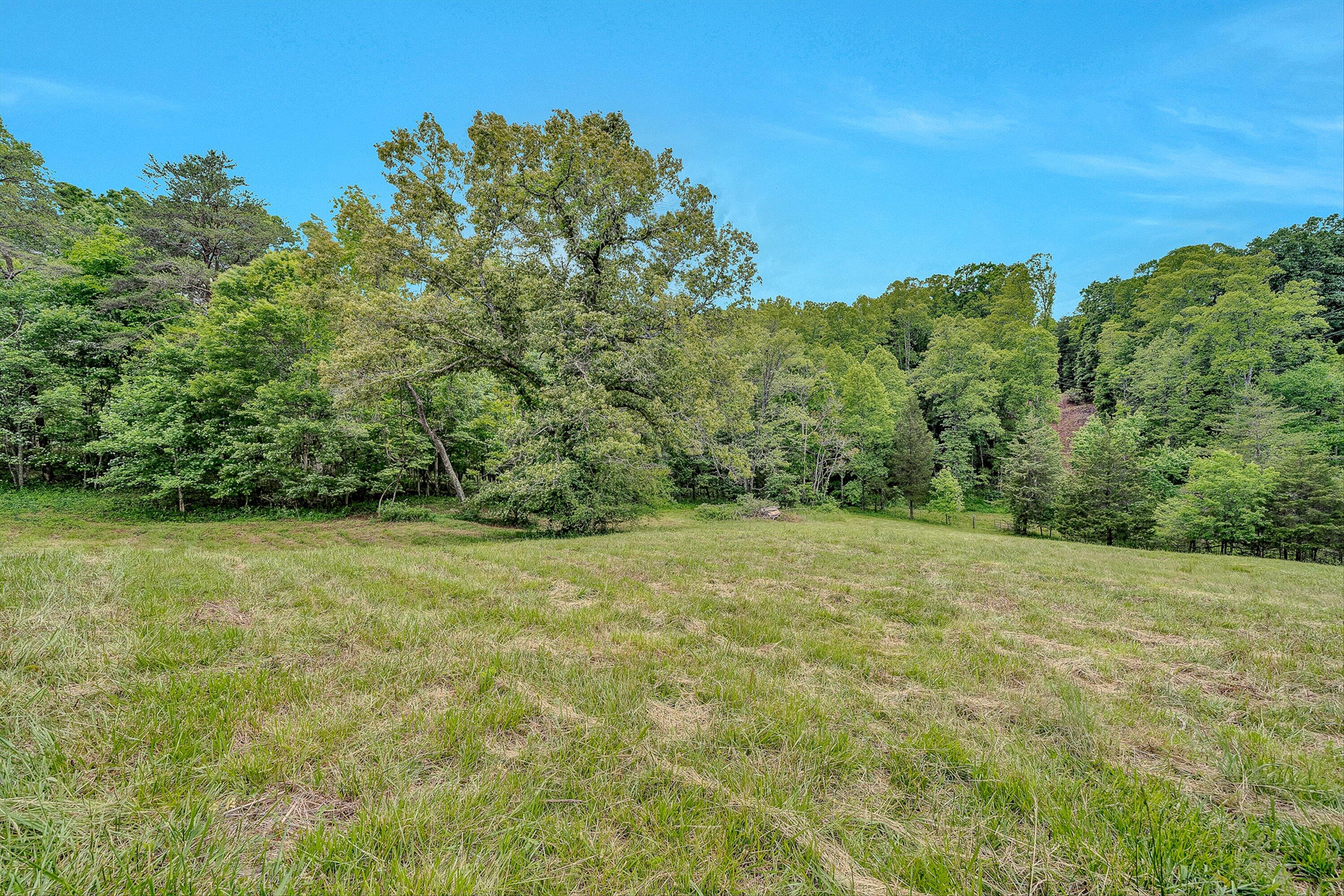 3835 Hardy Road Hardy, VA 24101 - Photo 35 of 58 35-VM-09336