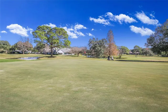 a view of park with large trees