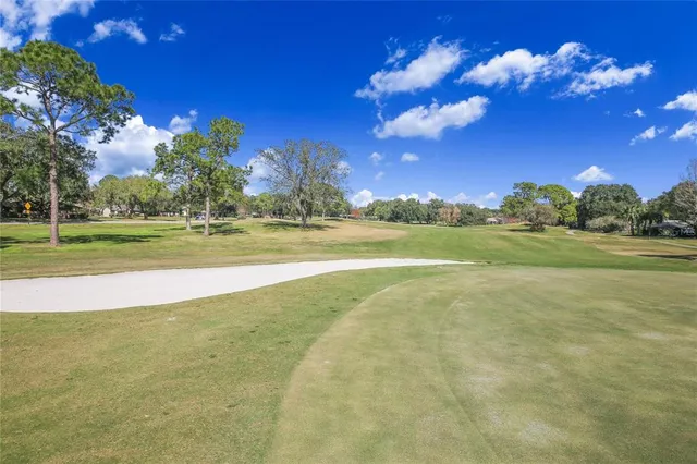 a view of a yard with large trees