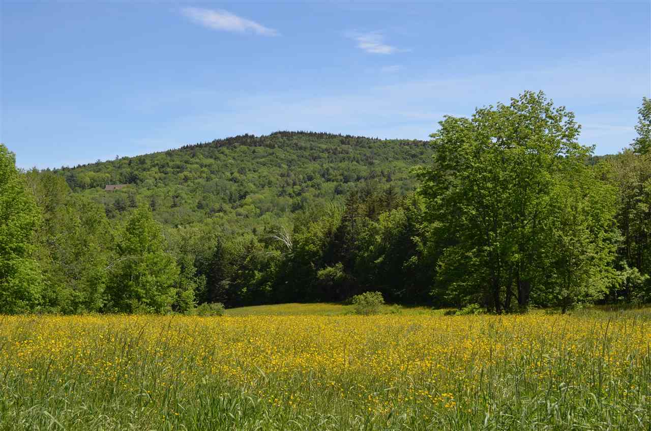 1309 South Hill Road Ludlow, VT 05149 - Photo 31 of 37