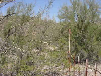 0 North El Adobe Ranch Road Tucson, AZ 85745 - Photo 3 of 7 Gallery Image 3