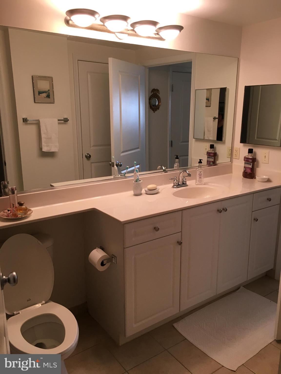 851 North Glebe Road, Unit 419 Arlington, VA 22203 - Photo 14 of 19 a bathroom with a double vanity sink toilet mirror and