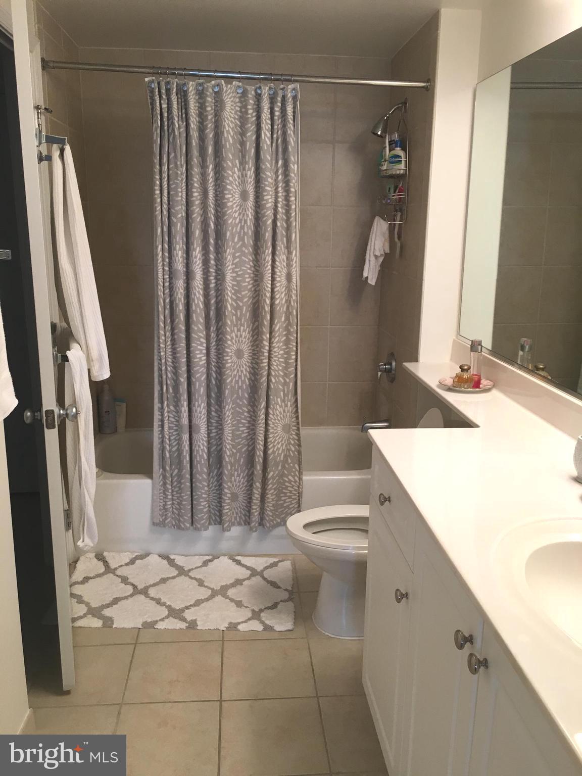 851 North Glebe Road, Unit 419 Arlington, VA 22203 - Photo 17 of 19 a bathroom with a sink a toilet and shower