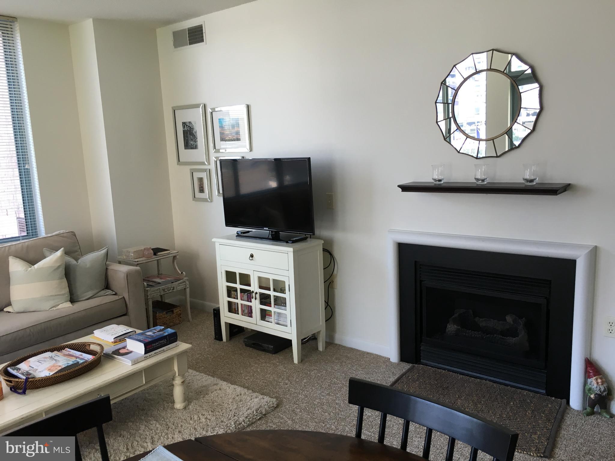 851 North Glebe Road, Unit 419 Arlington, VA 22203 - Photo 8 of 19 a living room with furniture a flat screen tv and a fireplace