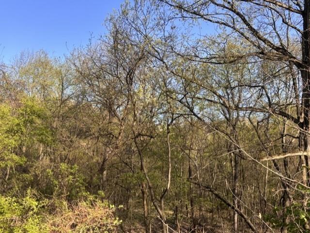 0 Church Road Butler, PA 16002 - Photo 11 of 15 a view of forest