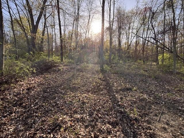 0 Church Road Butler, PA 16002 - Photo 13 of 15 a view of a forest with trees in the background