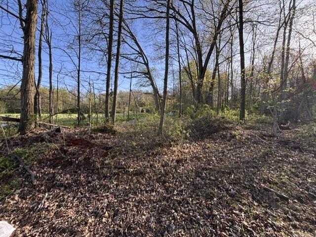 0 Church Road Butler, PA 16002 - Photo 14 of 15 a view of forest