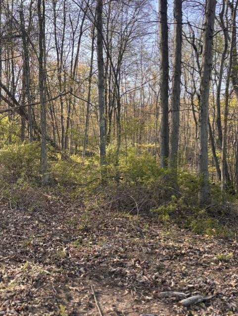 0 Church Road Butler, PA 16002 - Photo 15 of 15 a view of a yard with trees