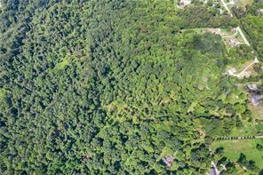 0 Church Road Butler, PA 16002 - Photo 5 of 15 a close up of a plant