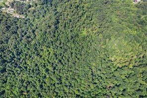0 Church Road Butler, PA 16002 - Photo 6 of 15 a close up of a plant