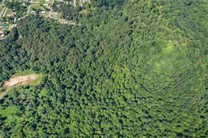 0 Church Road Butler, PA 16002 - Photo 7 of 15 a close up of a plant