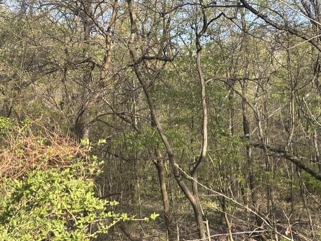 0 Church Road Butler, PA 16002 - Photo 10 of 15 a picture of a tree