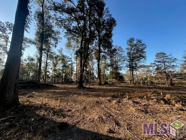 $72,900 | 14257 Old River Road, Maurepas, LA 70449