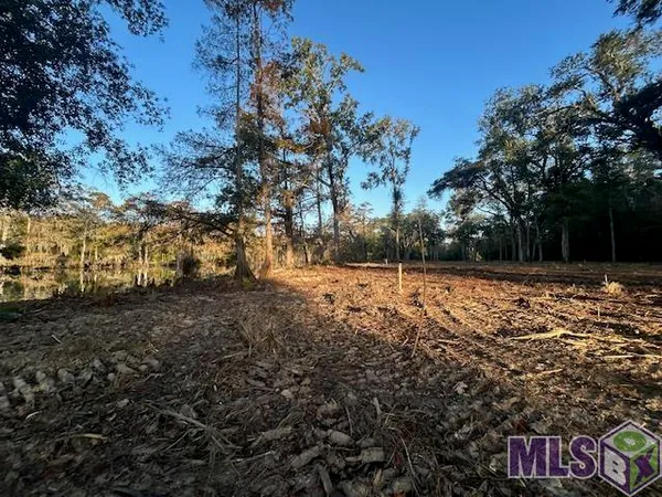$72,900 | 14257 Old River Road, Maurepas, LA 70449