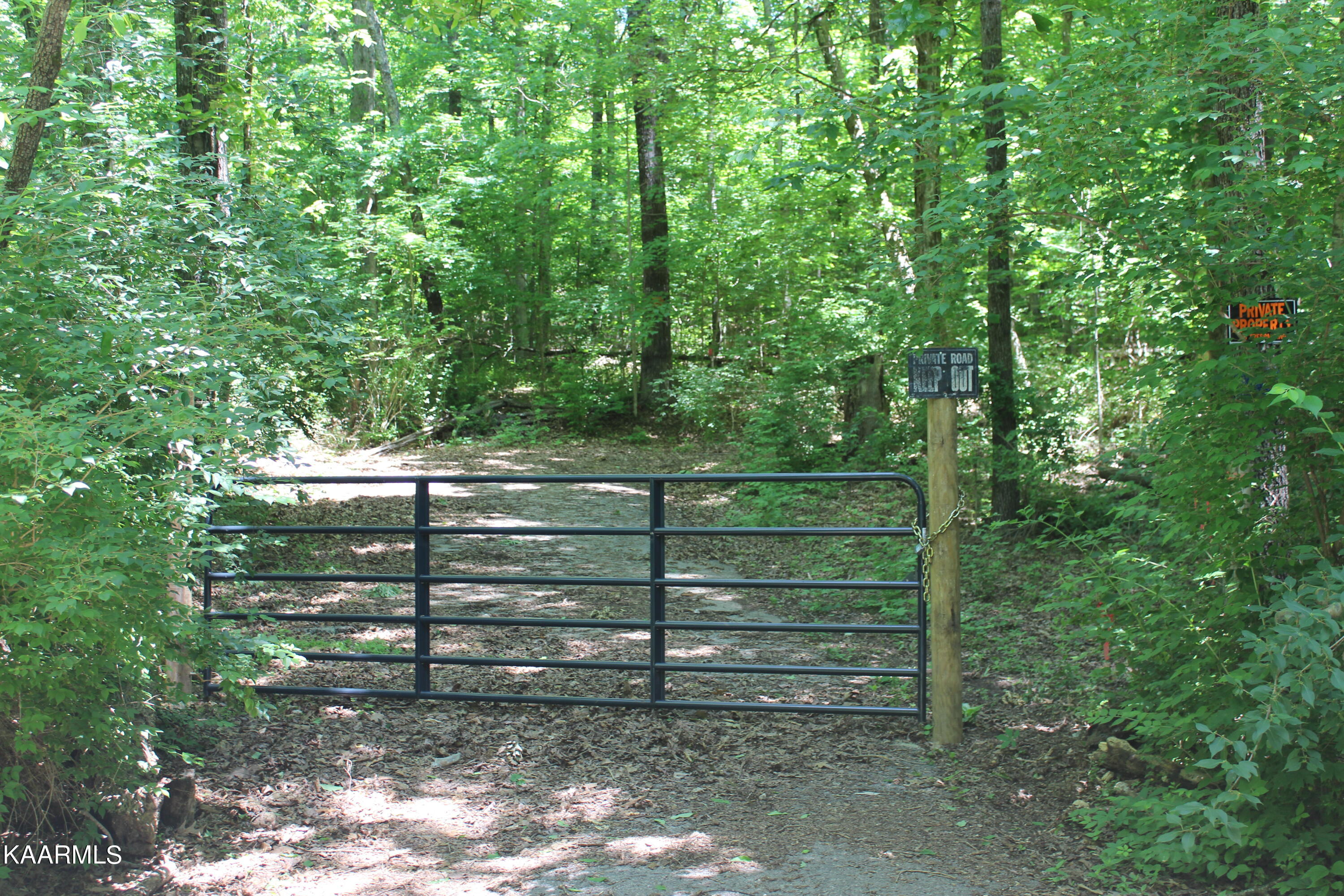 Orabella Road Knoxville, TN 37921 - Photo 2 of 4 IMG_0220