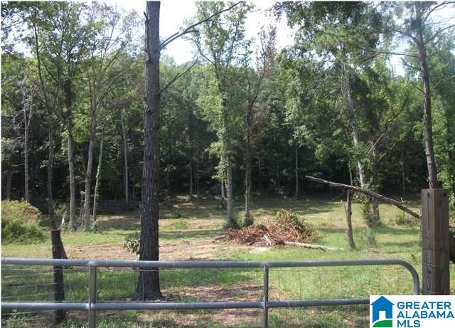 0 Collins Road Ohatchee, AL 36271 - Photo 5 of 6