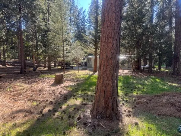 $110,000 | 30830 Thumper Drive, Shingletown, CA 96088