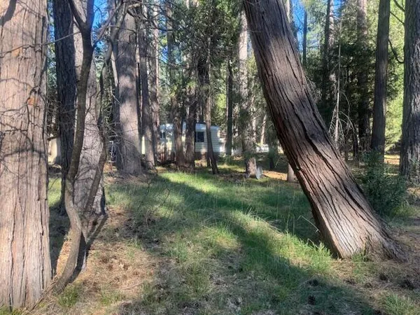 $110,000 | 30830 Thumper Drive, Shingletown, CA 96088